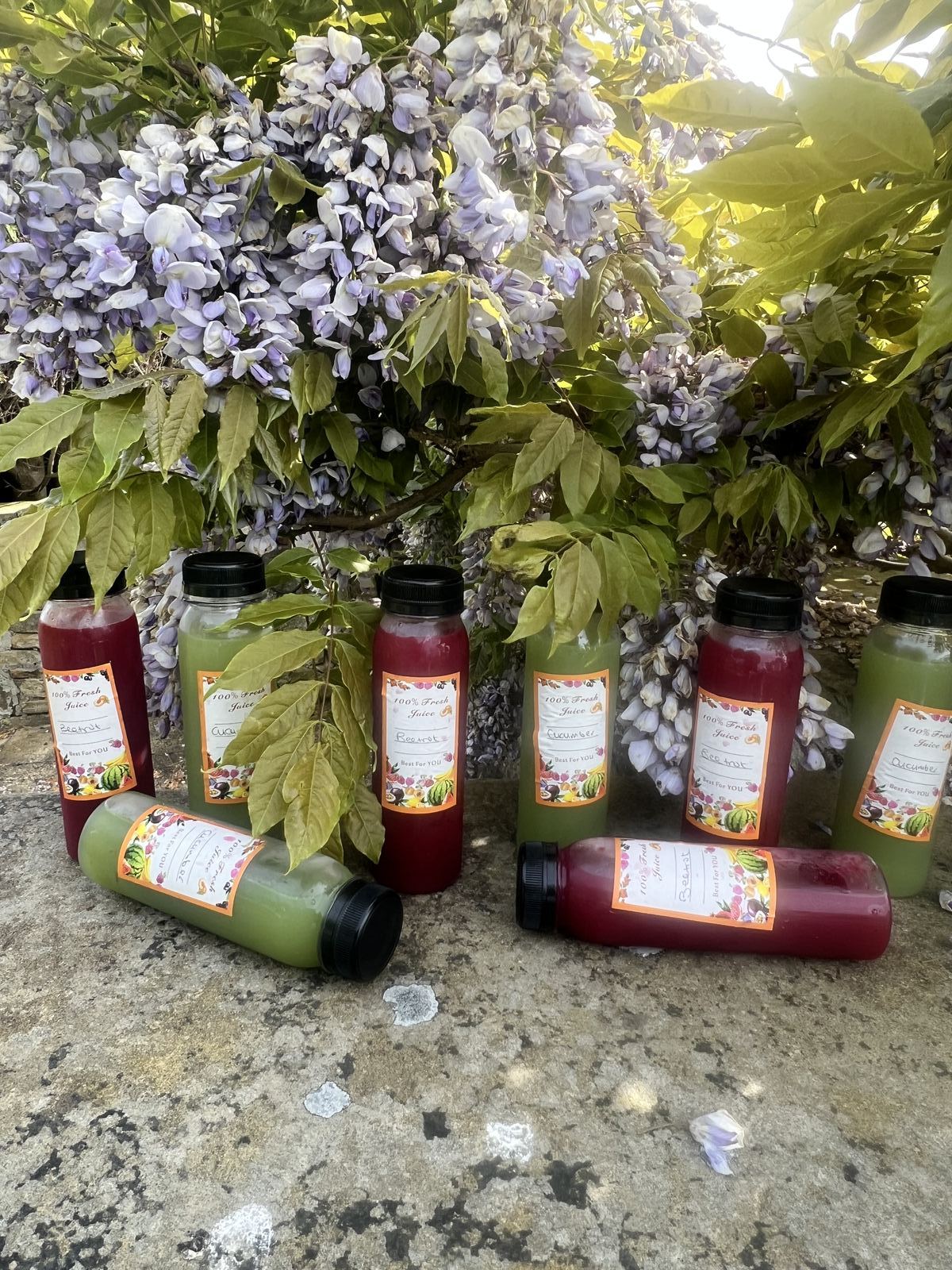 Bottles of beetroot and cucumber juice standing among wisteria